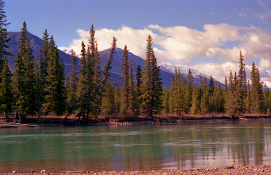 Canada (1986)-275-Athabasca River-3-560
