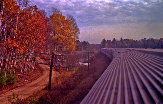 Canada (1986)-436-Ontario-Zug mit Weg und Birken-sharpen-560