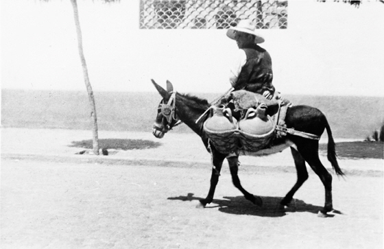 Mann reitet auf Esel mit Wasserkrgen-2, black&white, inpaint-560