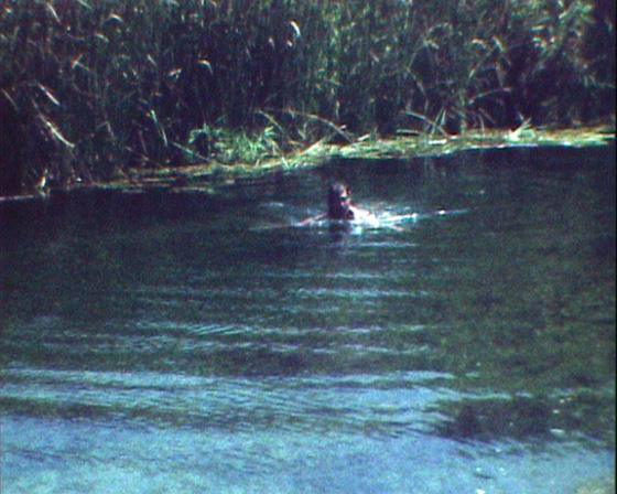 02-Kampos-1088-Schwimmen im See-01-B560