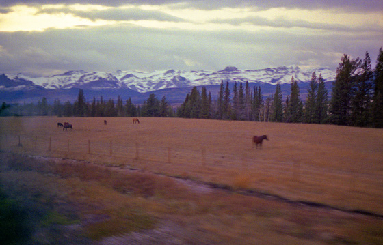 Canada (1986)-204-Rockie-Vorland mit Pferden-1-560