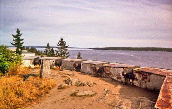 81-04-0014-Hudiksvall-altes Fort, Makro, aufgehellt-560