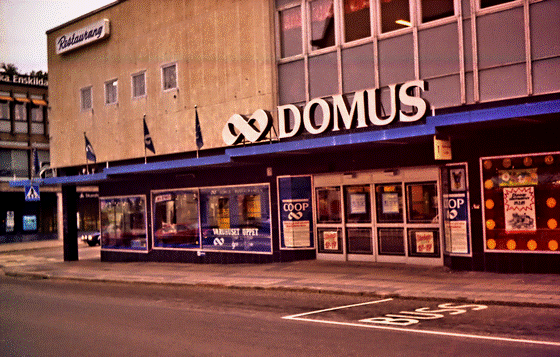 81-07-0001-Hudiksvall-Domus, pse7, Struktur dkl, Makro, denoise-560