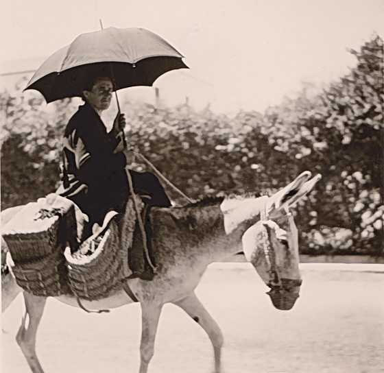 Frau reitet auf Esel mit Schirm-sharpen, denoise, pse7-560